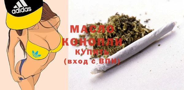 тгк Абаза