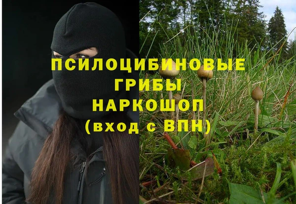 тгк Абаза