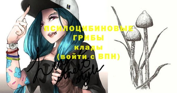 apvp Абинск