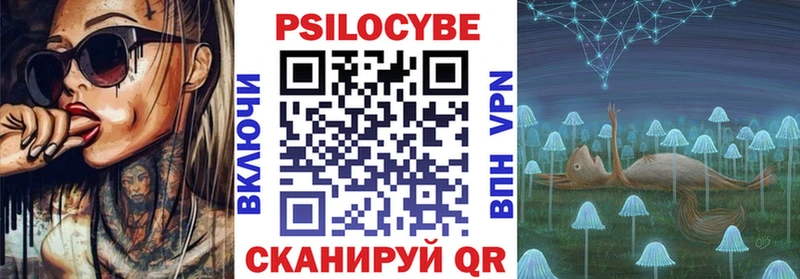 Псилоцибиновые грибы Psilocybine cubensis  Севастополь 